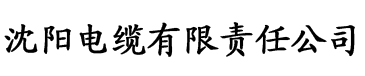 大香蕉一人在线视频电缆厂logo